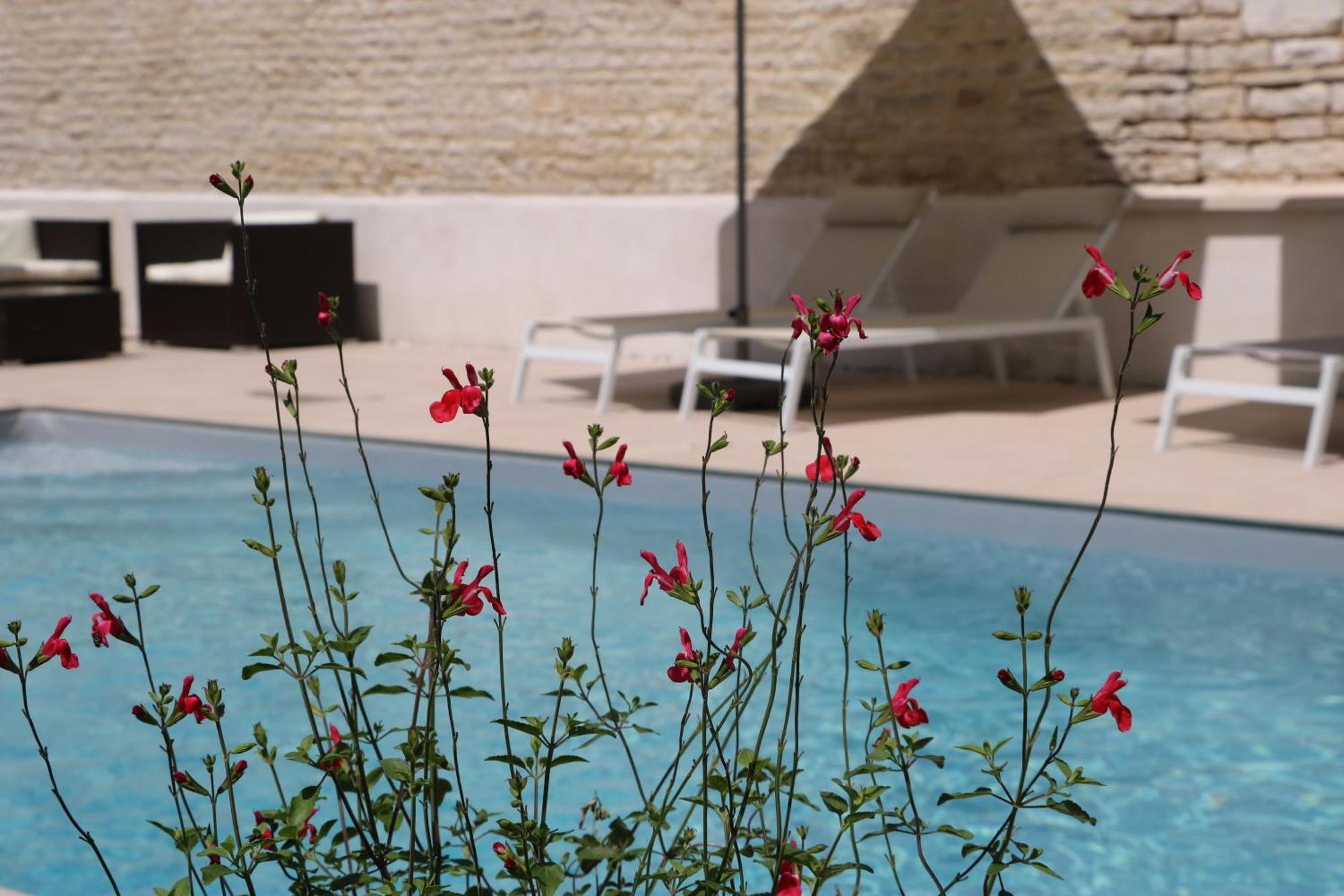 La Villa Lombardi En Champagne, Avec Piscine Privee Et Jacuzzi Les Riceys Zewnętrze zdjęcie
